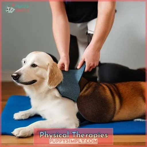 Physical Therapies