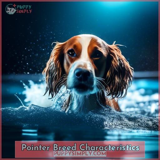 Pointer Breed Characteristics Pointer Breed Characteristics
