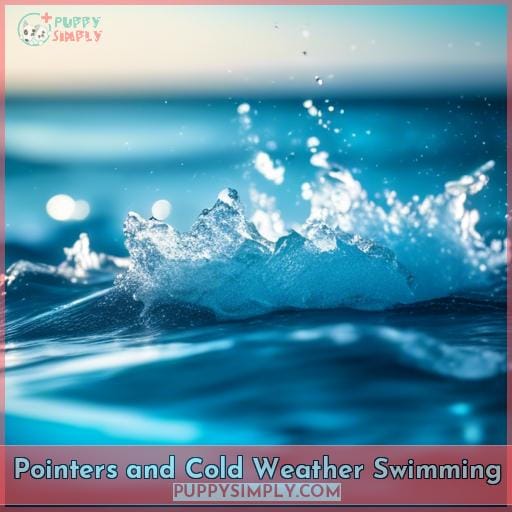 Pointers and Cold Weather Swimming