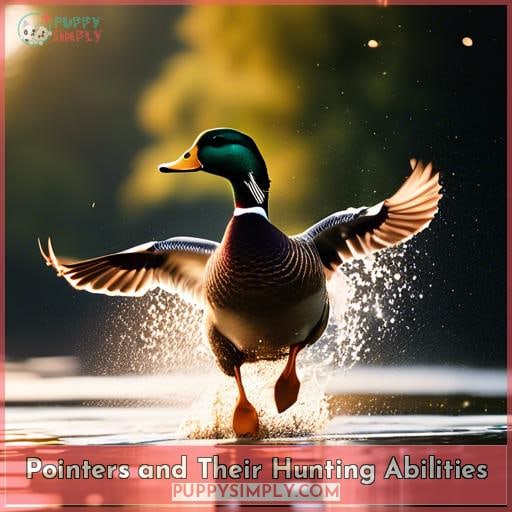 Pointers and Their Hunting Abilities
