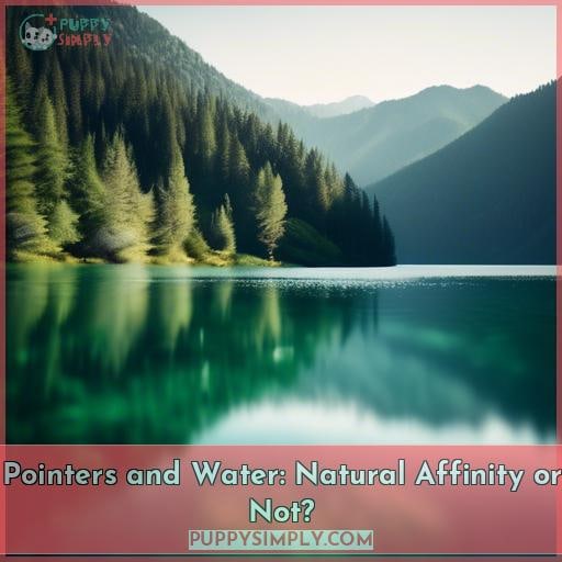 Pointers and Water: Natural Affinity or Not