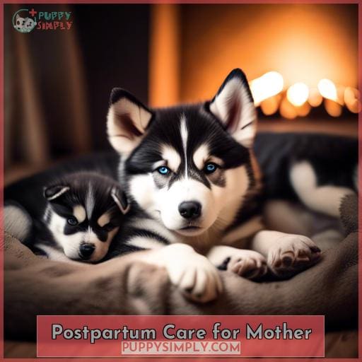 Postpartum Care for Mother