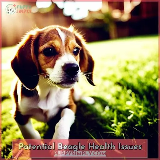 Potential Beagle Health Issues