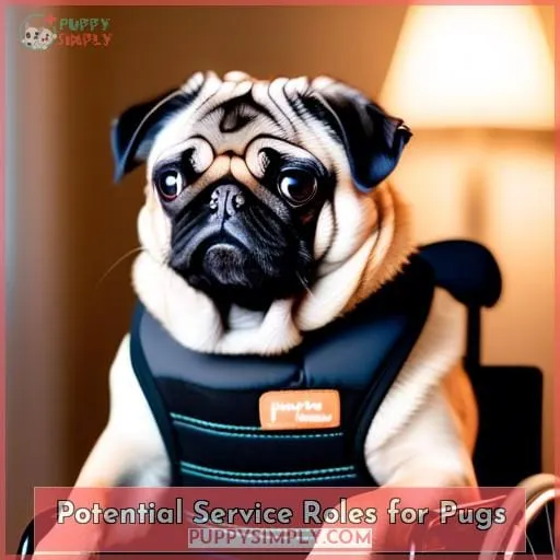 Potential Service Roles for Pugs