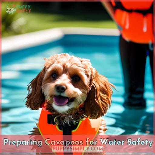 Preparing Cavapoos for Water Safety