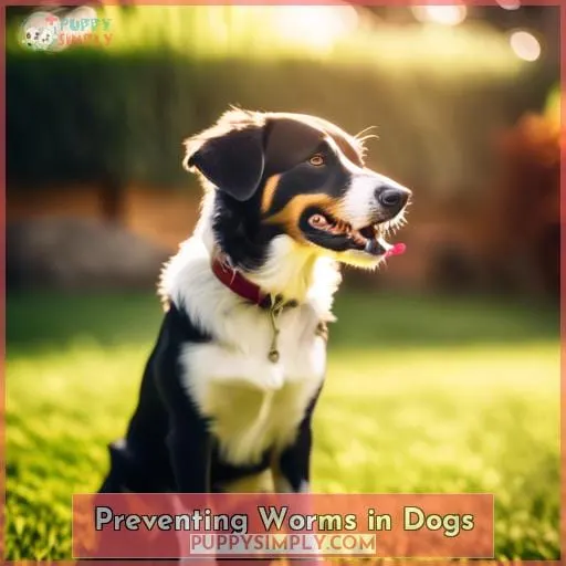 Preventing Worms in Dogs