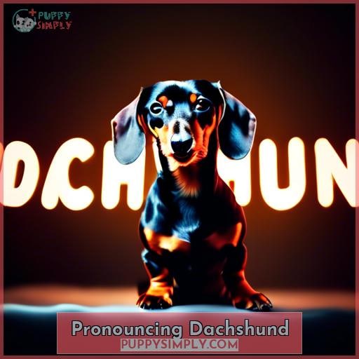 Pronouncing Dachshund Pronouncing Dachshund