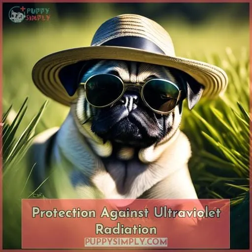 Protection Against Ultraviolet Radiation