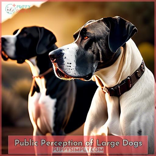Public Perception of Large Dogs