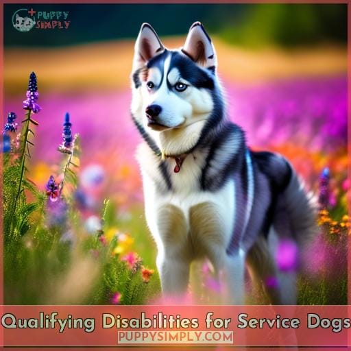 Qualifying Disabilities for Service Dogs