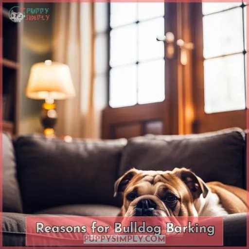 Reasons for Bulldog Barking