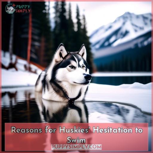 Reasons for Huskies
