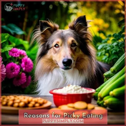 Reasons for Picky Eating