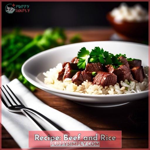 Recipe: Beef and Rice