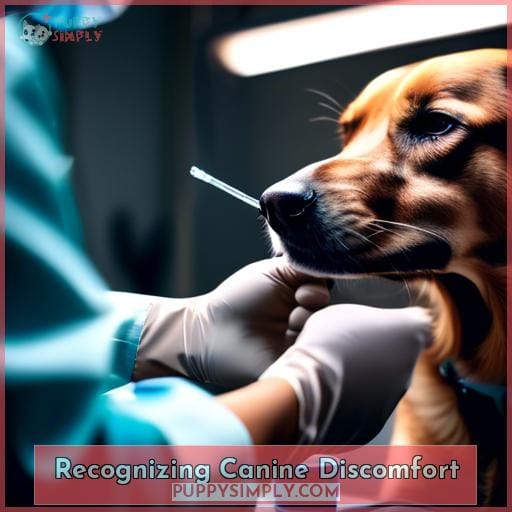 Recognizing Canine Discomfort