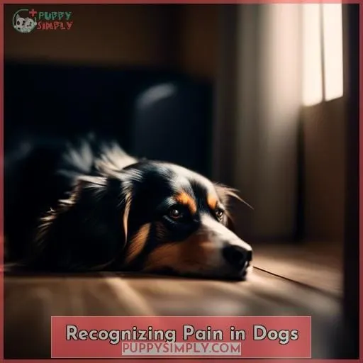 Recognizing Pain in Dogs