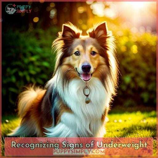 Recognizing Signs of Underweight Recognizing Signs of Underweight