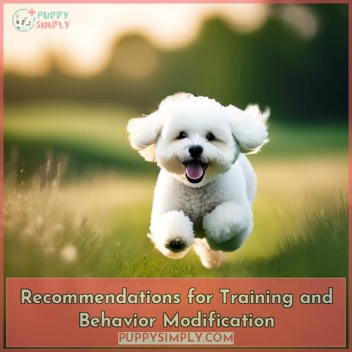 Recommendations for Training and Behavior Modification