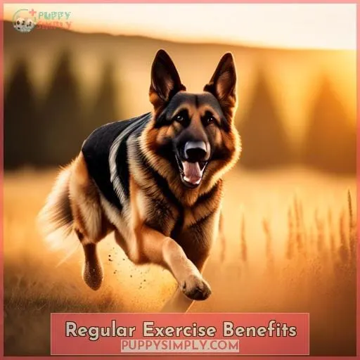 Regular Exercise Benefits