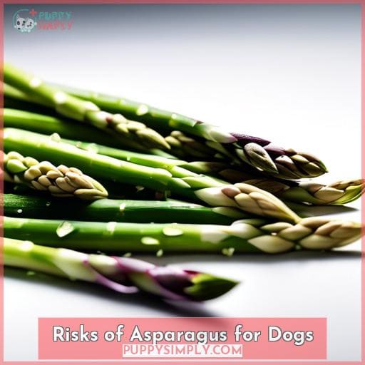 Risks of Asparagus for Dogs Risks of Asparagus for Dogs