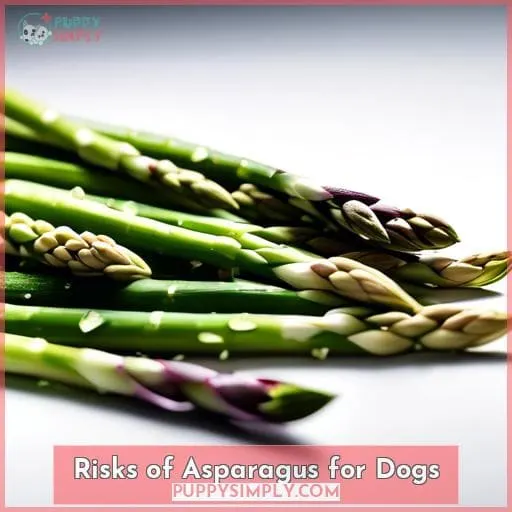 Risks of Asparagus for Dogs