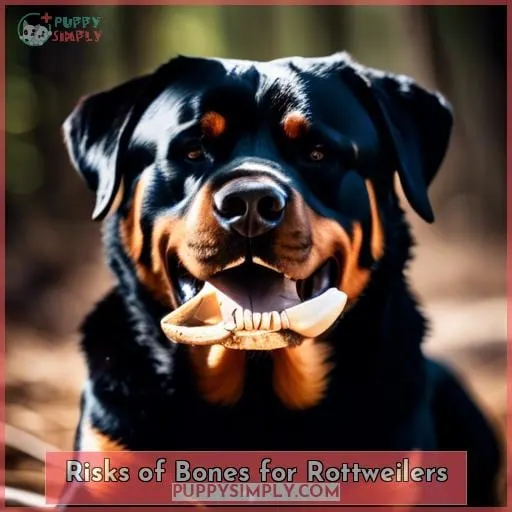 Risks of Bones for Rottweilers