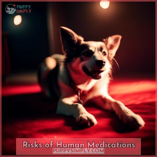 Risks of Human Medications