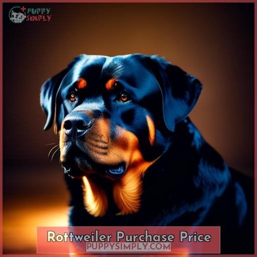Average Cost of Buying a Rottweiler Vet Fees, Training & More