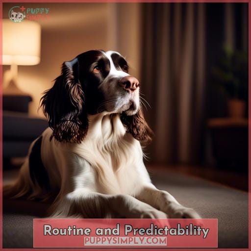Routine and Predictability