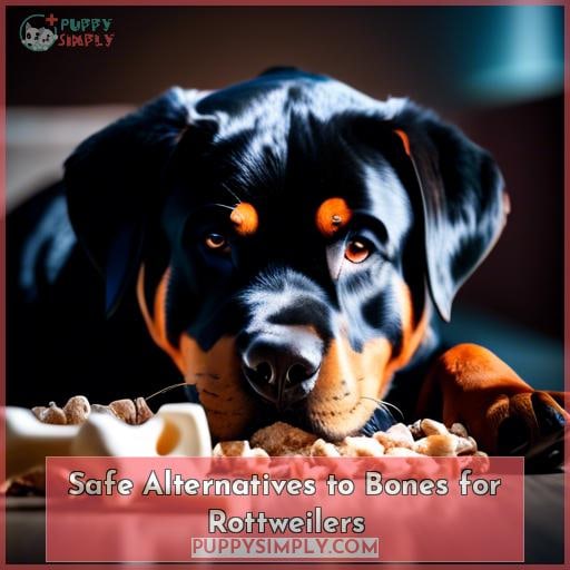 Safe Alternatives to Bones for Rottweilers