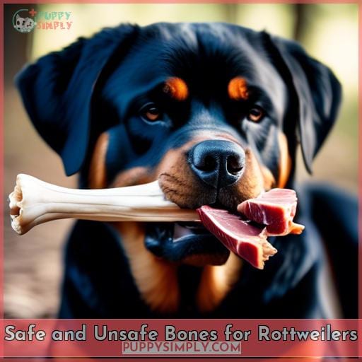Safe and Unsafe Bones for Rottweilers