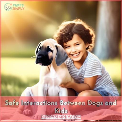 Safe Interactions Between Dogs and Kids