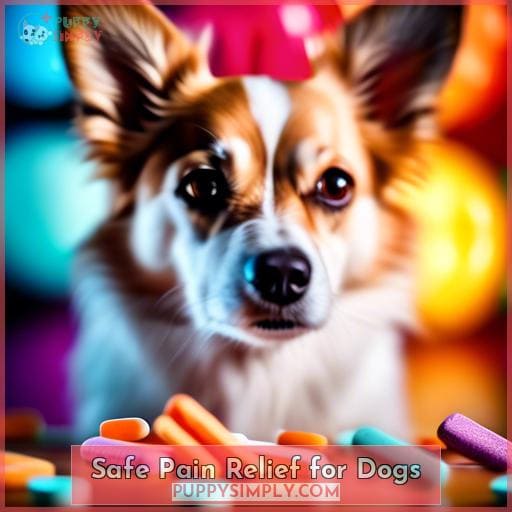 Safe Pain Relief for Dogs