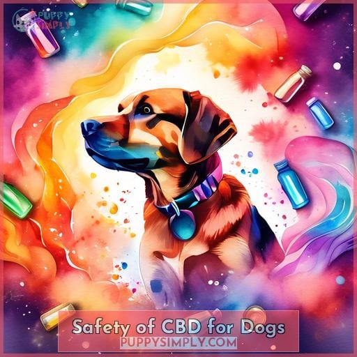 Safety of CBD for Dogs