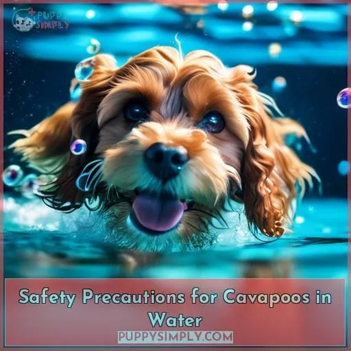 Safety Precautions for Cavapoos in Water