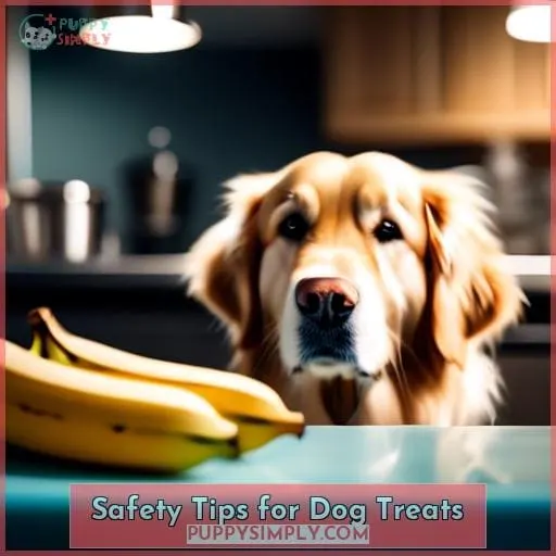 Safety Tips for Dog Treats