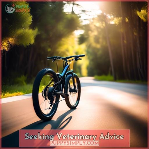 Seeking Veterinary Advice