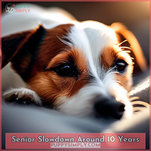 Senior Slowdown Around 10 Years