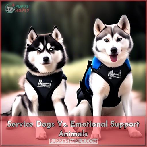 Service Dogs Vs. Emotional Support Animals