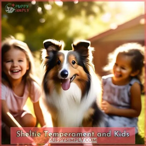 Sheltie Temperament and Kids