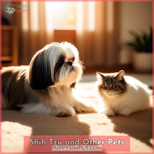 Shih Tzu and Other Pets