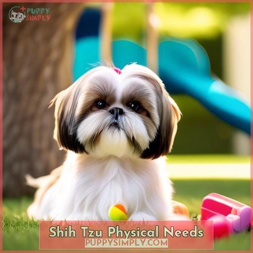 Shih Tzu Physical Needs Shih Tzu Physical Needs