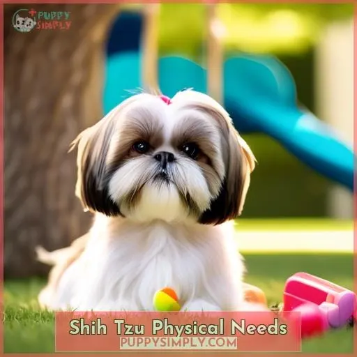 Shih Tzu Physical Needs