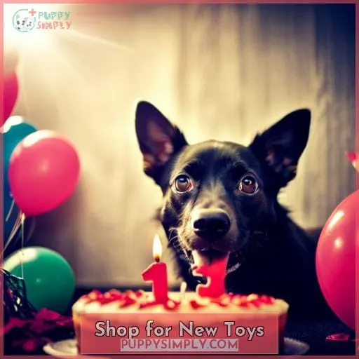 Shop for New Toys
