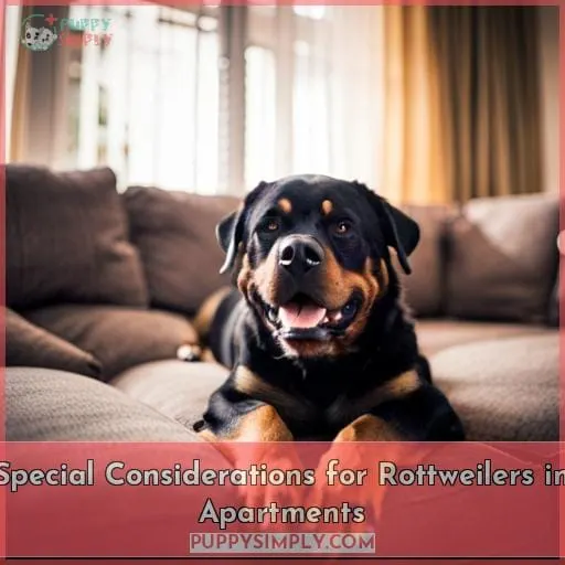Special Considerations for Rottweilers in Apartments