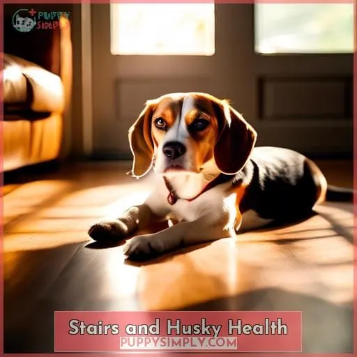 Stairs and Husky Health