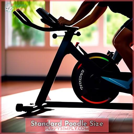 Standard Poodle Size Standard Poodle Size