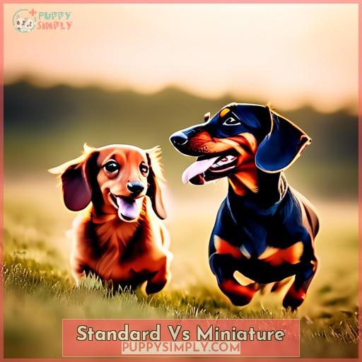 Standard Vs Miniature Standard Vs Miniature