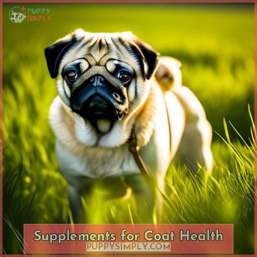 Supplements for Coat Health