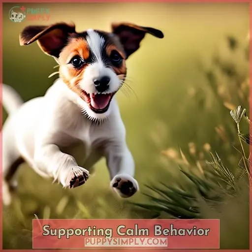 Supporting Calm Behavior